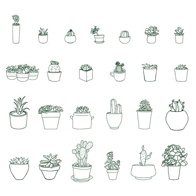 Pot Plants, Animated, Organised