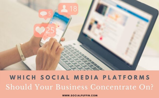 Which Social Media Platforms Should Your Business Concentrate On.jpg Which Social Media Platforms Should Your Business Concentrate On.jpg
