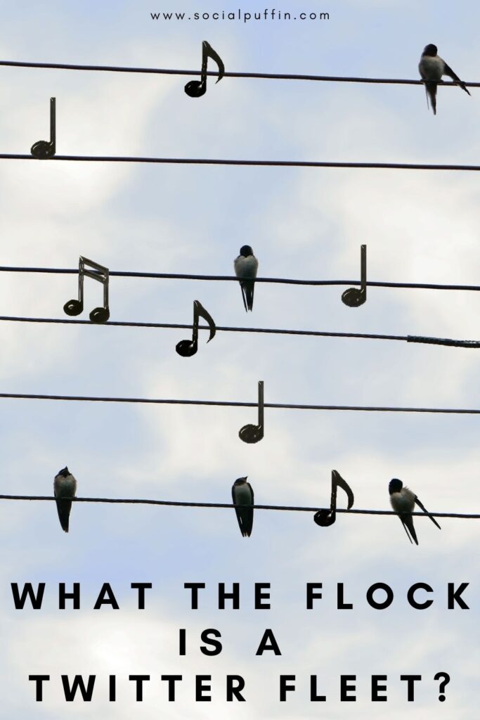 What the Flock is a Twitter Fleet