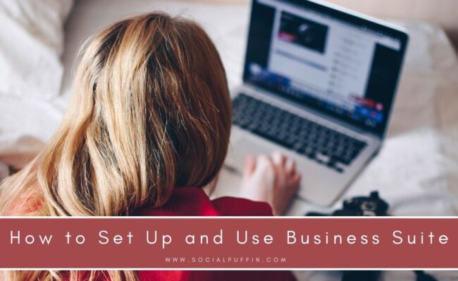 How to Set Up and Use Business Suite How to Set Up and Use Business Suite